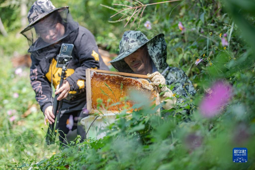 巴黎人网投